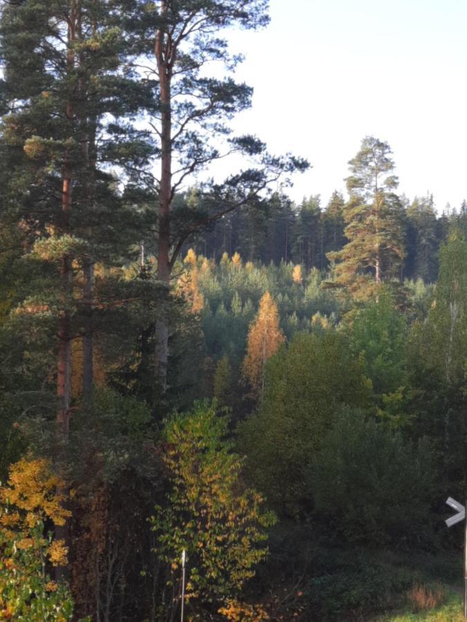 Aelghuset Silverdalen Dış mekan fotoğraf